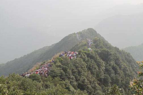 縱情山水，激蕩智慧——TANK007重陽節(jié)帶您一起登高梧桐山